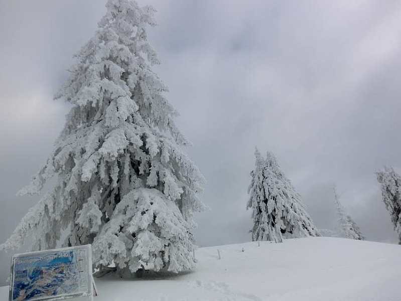 5-Dachstein West 056